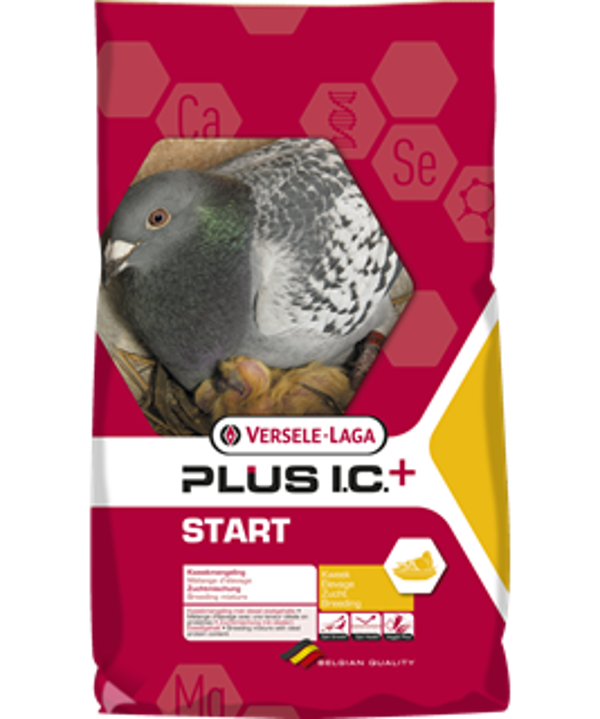 Plus I.C. Start Kweek