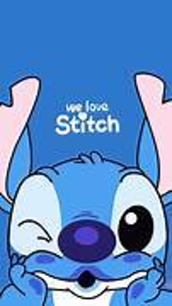 Stitch - Sparbox%