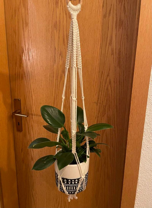 Blumenampeln