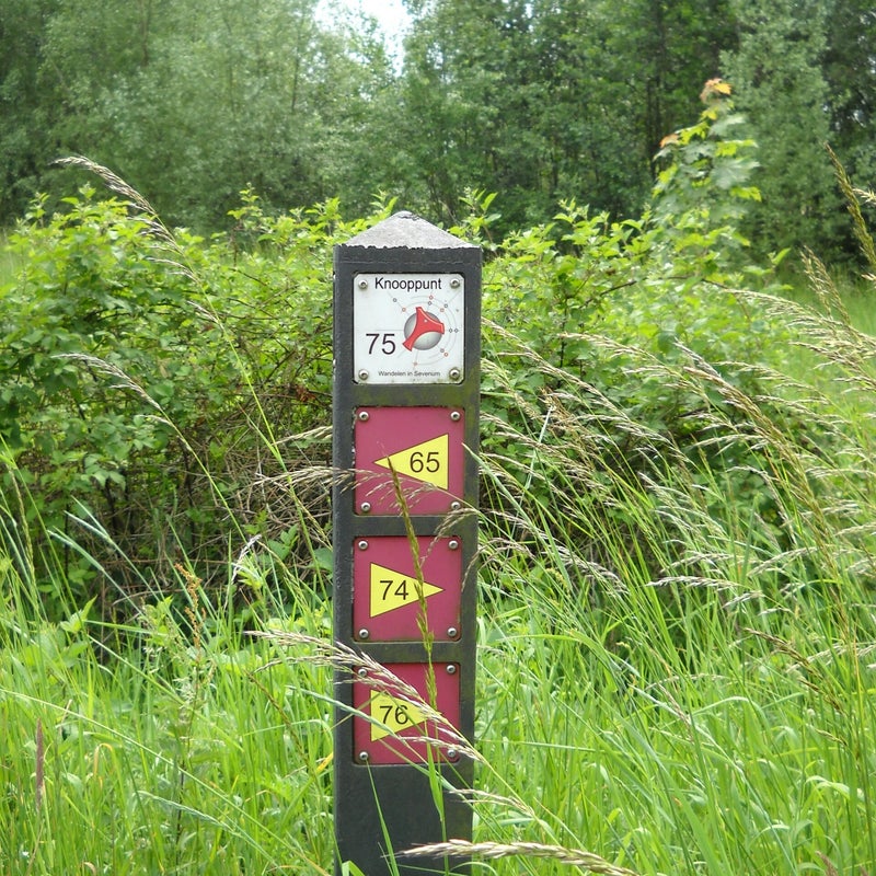 DSCN0192.jpg