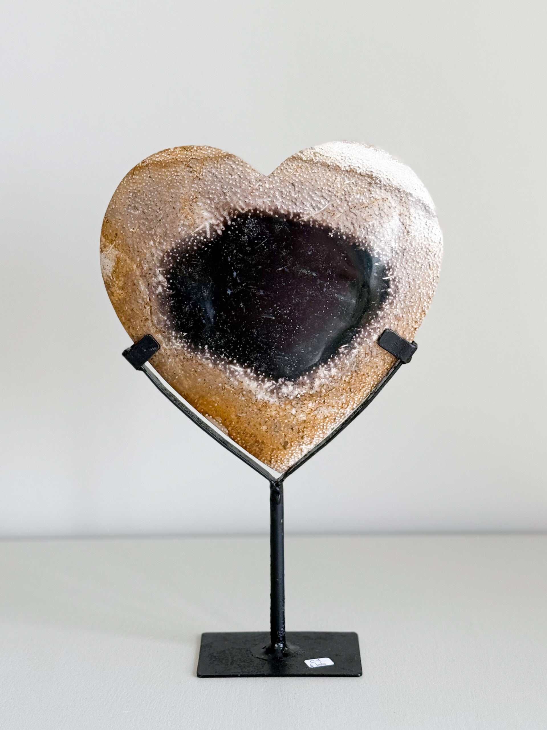 XL hart op statief | Versteend hout C1