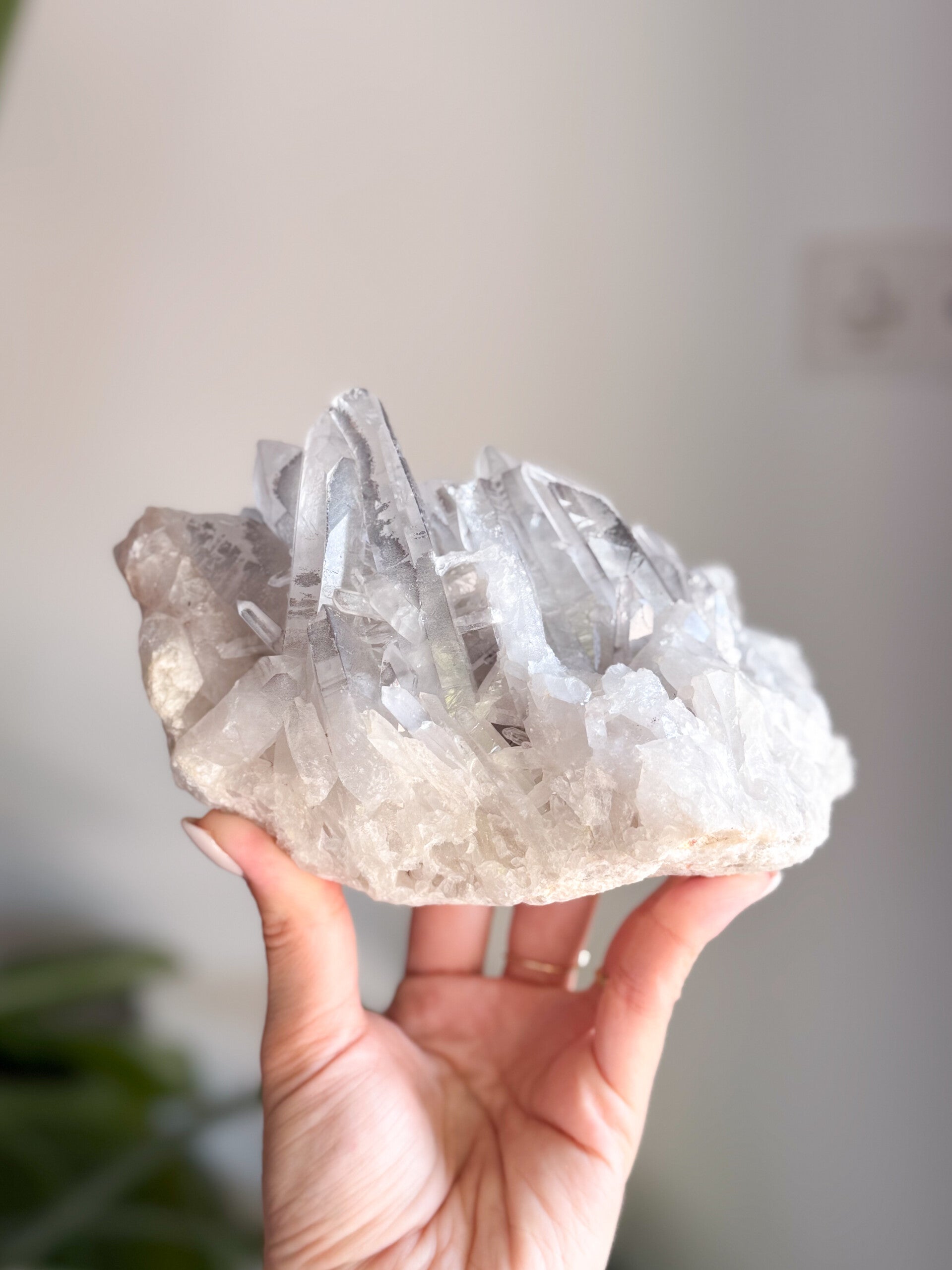 Bergkristal cluster | F18