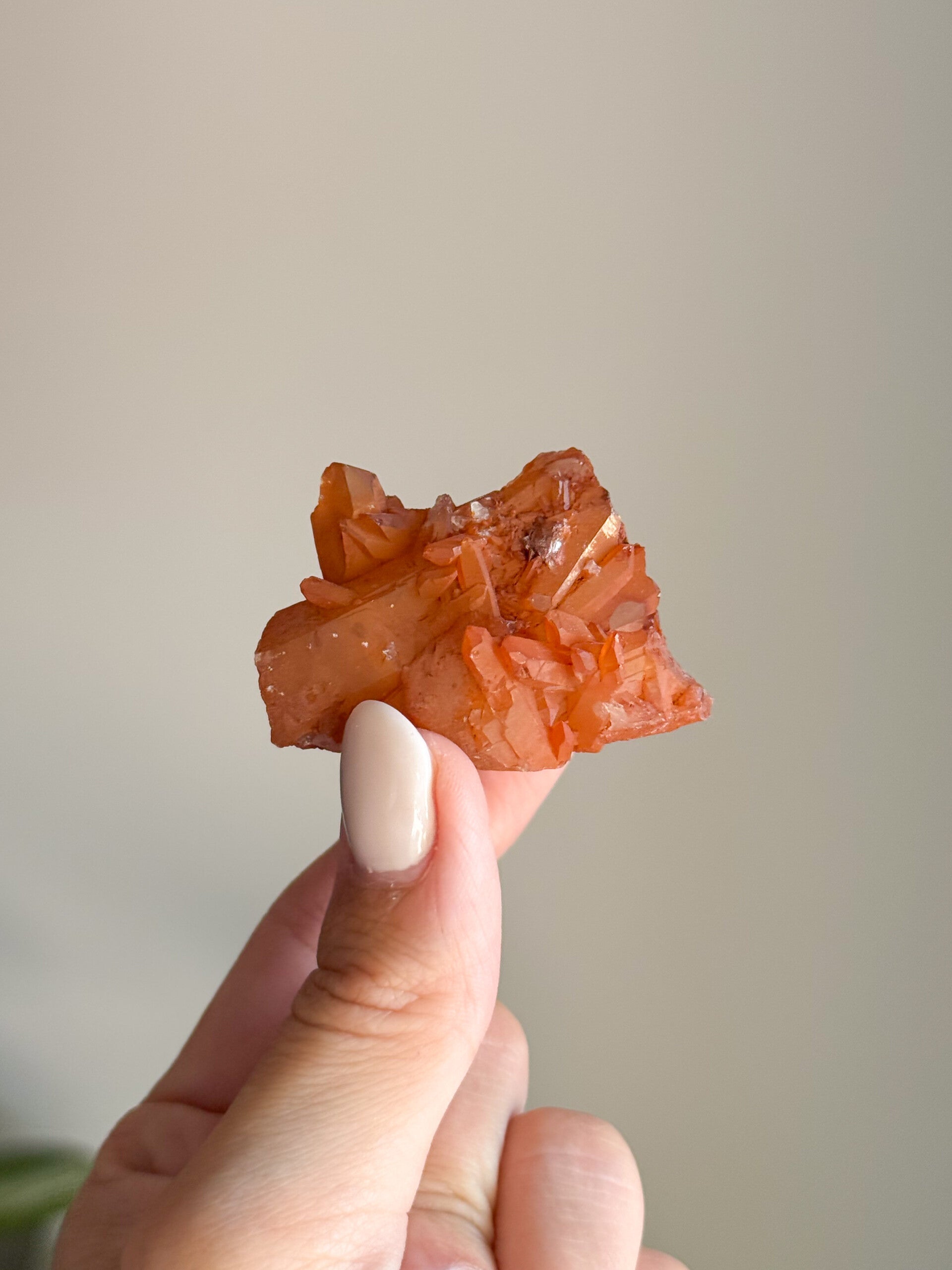 Tangerine cluster | T21