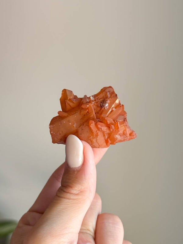 Tangerine cluster | T21
