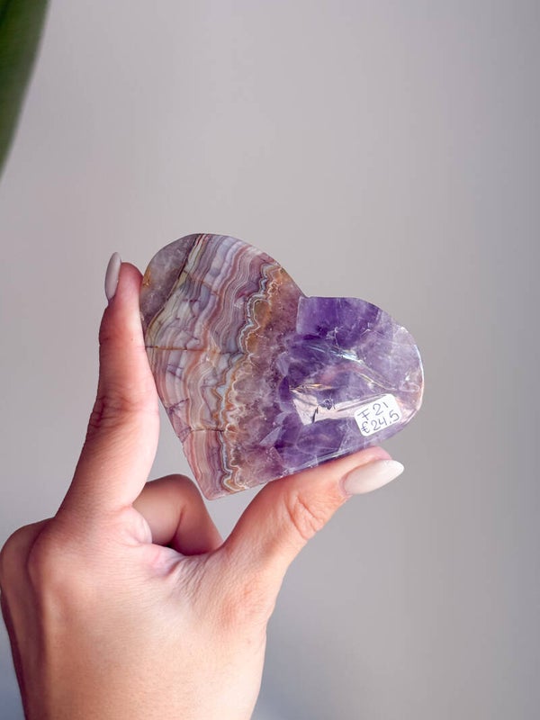Amethist hart | F21
