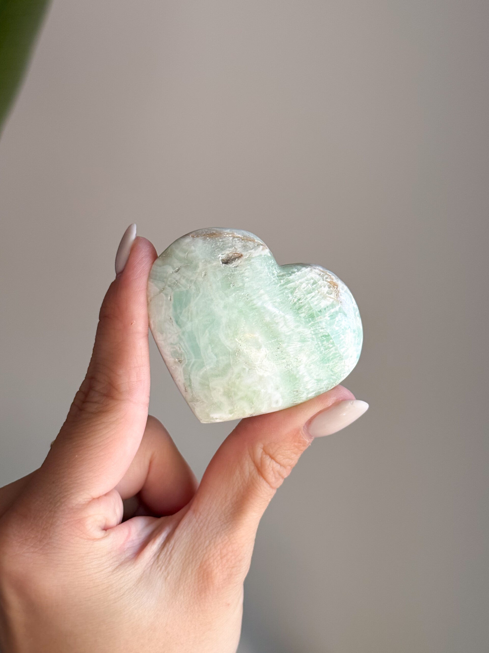 Carribean calciet hart | C3