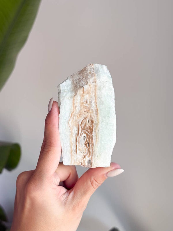 Carribean calciet | C10