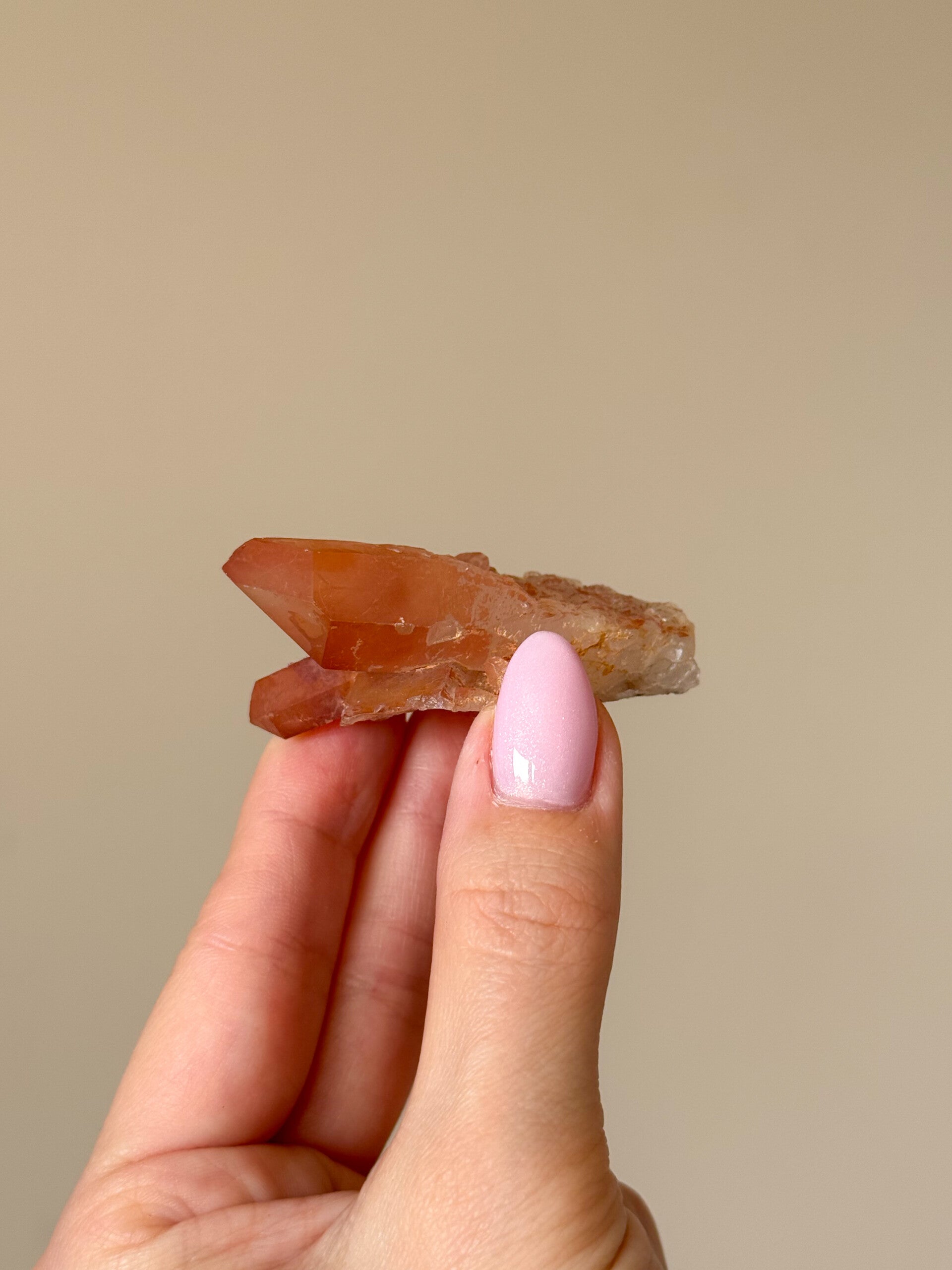 Tangerine cluster | D31