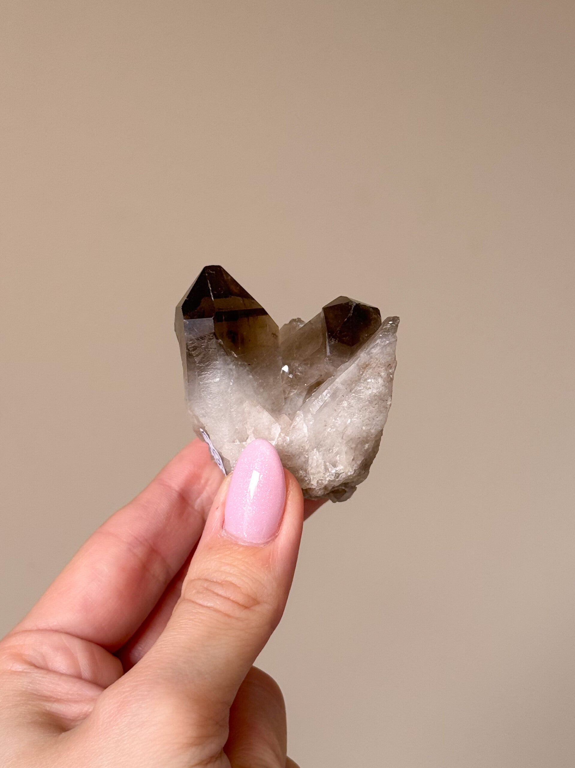 Rookkwarts cluster | C55