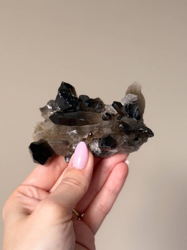 Rookkwarts cluster | C37