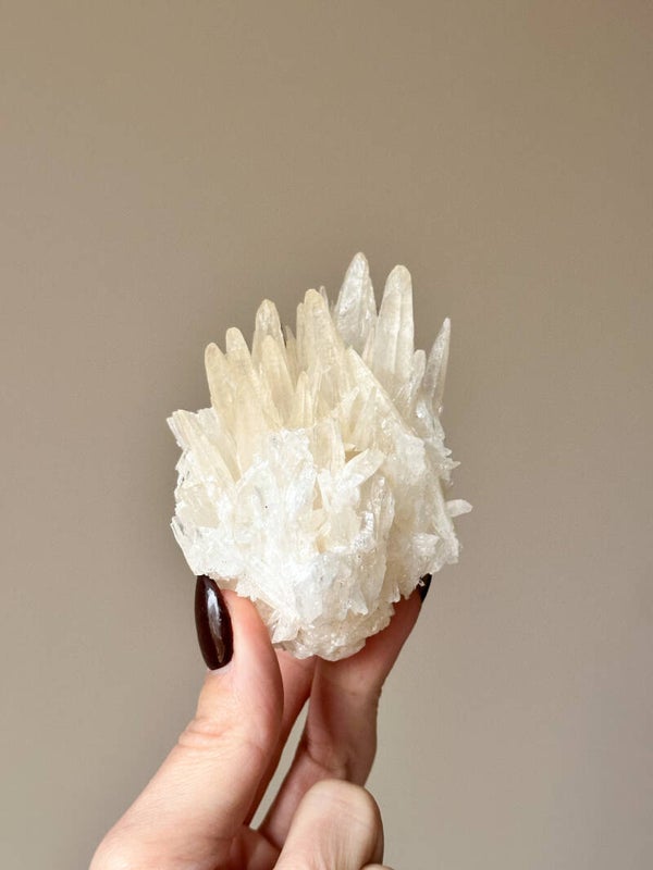 Dogtooth calciet | N5