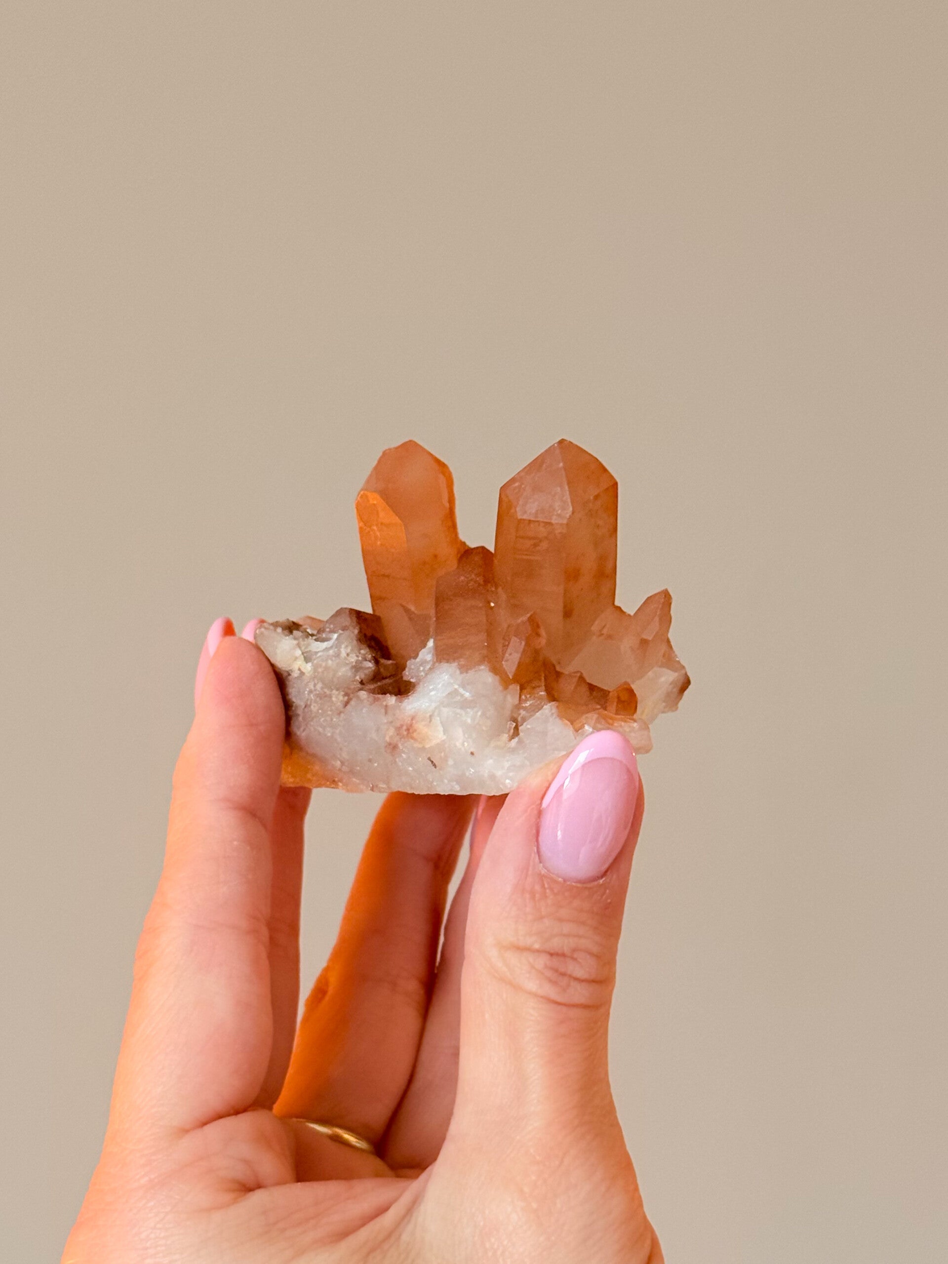 Tangerine cluster | T1