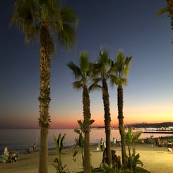 6d686045-7f31-4963-bd26-d59118b3730b-standard.jpg