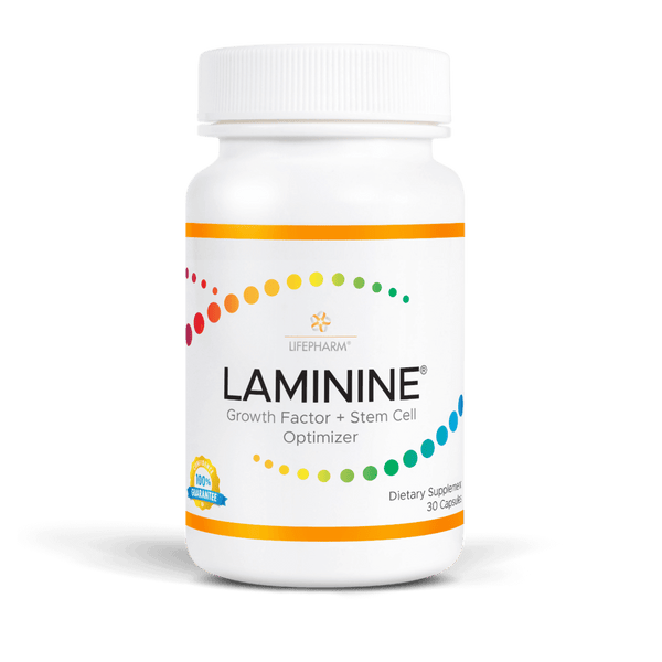 LAMININE Regeneration At The Cellular Core / Regeneración en el núcleo celular