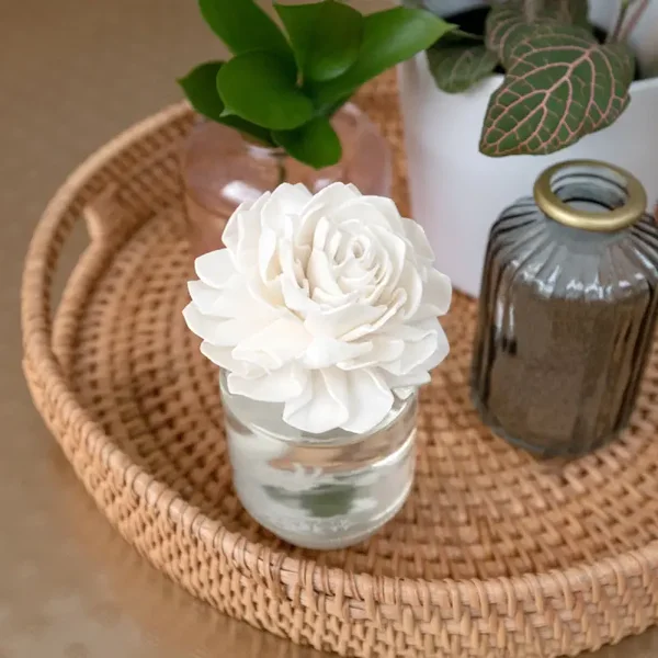 Amazon Rain - Dahlia Darling Fragrance Flower