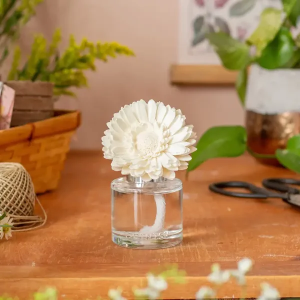Summer Berry Melon - Dainty Daisy Fragrance Flower