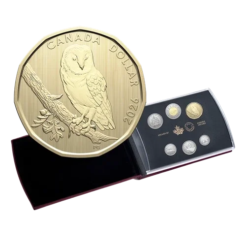 Specimen Barn Owl 2026