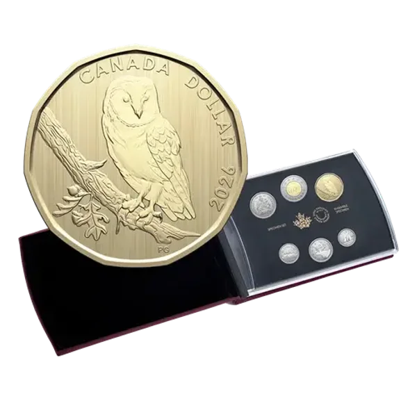 Specimen Barn Owl 2026