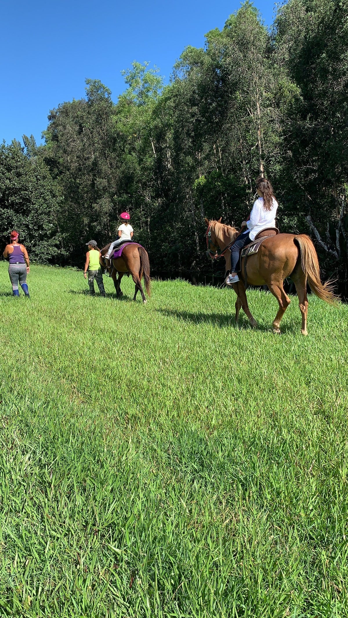 Trail rides