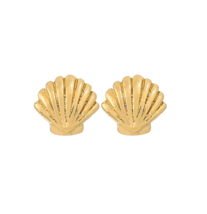 Shell oorbellen