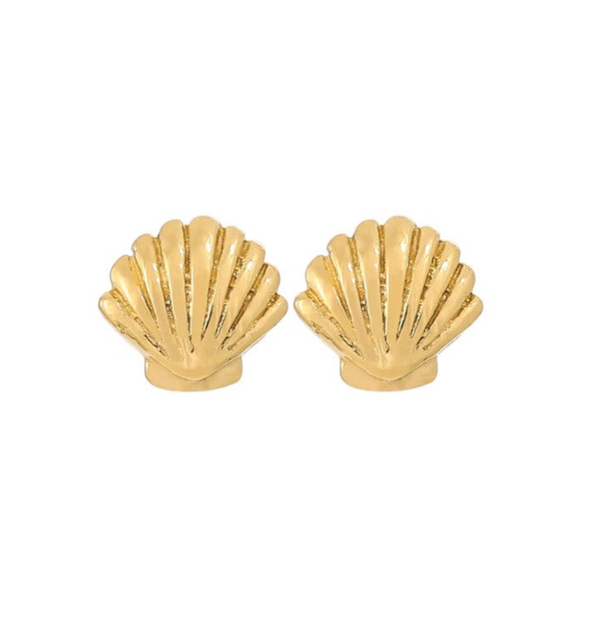 Shell oorbellen