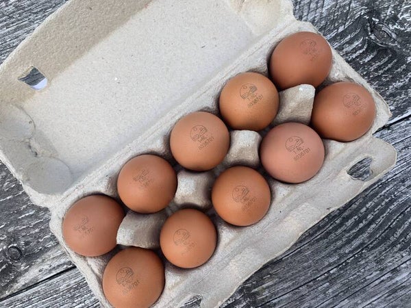 Eén doosje (10 eieren) per twee weken