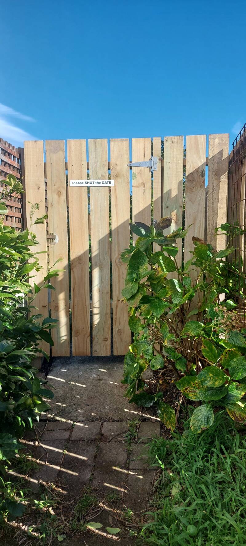Close the gate