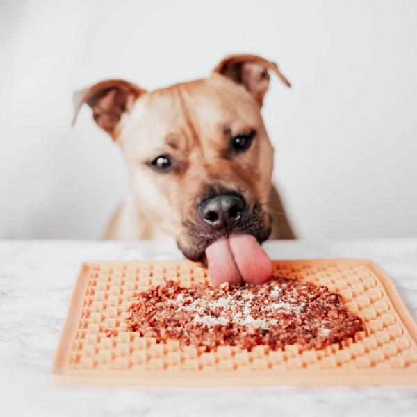 Mr. Bones Boquerones sprinkles