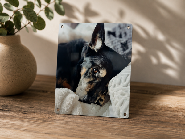 Plaque en aluminium personnalisée – 20 x 15 cm