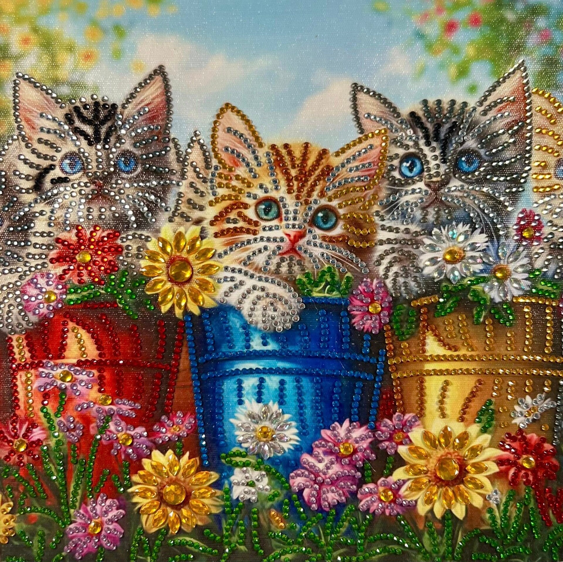 Kittens