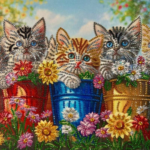 Kittens