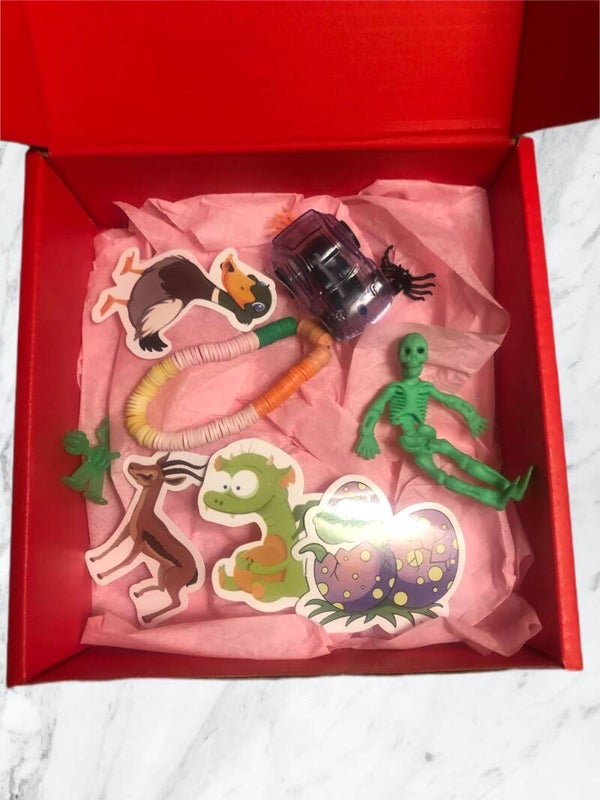 The cool box