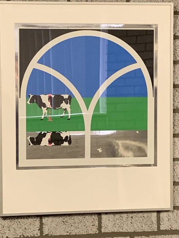 1042 - Ben Bos - Rechtse koe vrijwillig links opgesteld (63 * 76 incl lijst)