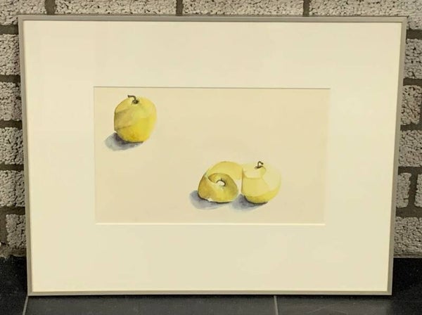 1173 - Gemma Vermeulen - Appels ( 50 * 65 incl. lijst)