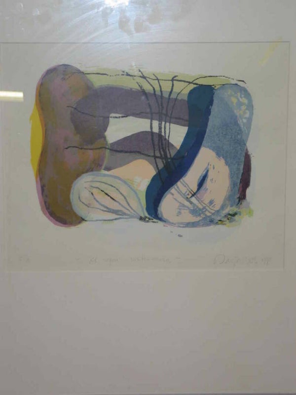 Darja Vos - El agua subterreanea ( 60 * 70 incl. lijst)