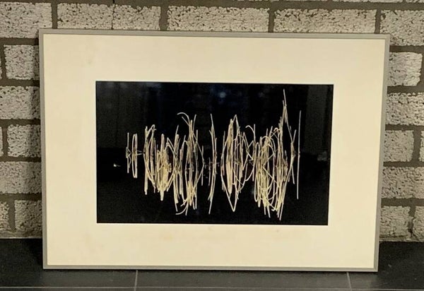 1428 - Flip de Nooyer - Berijpte waterplantstengel in zwart bosven ( 50 * 70 incl. lijst)