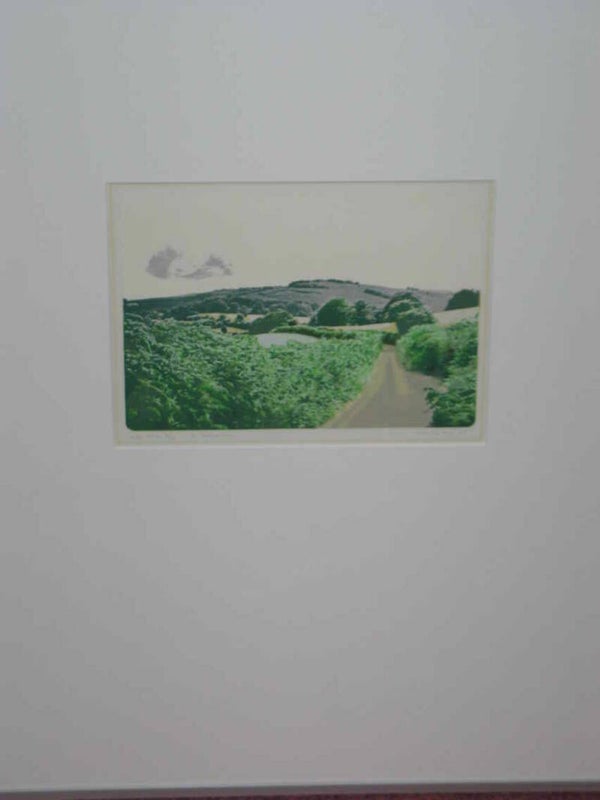 Marian Plug -  Groen landschap ( 50 * 60 incl lijst)