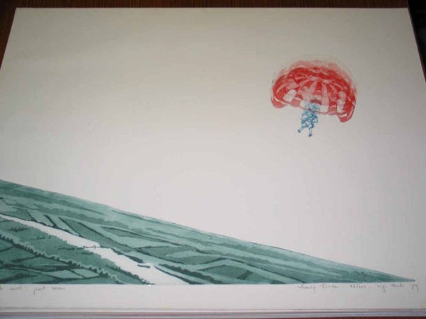1746 - Leentje Linders - Falling to earth
