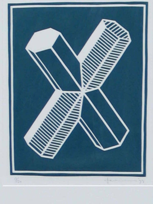 1209261 - Ton van Summeren - Twin Cristals (blauw / groen) ( 50 * 65 incl. lijst)