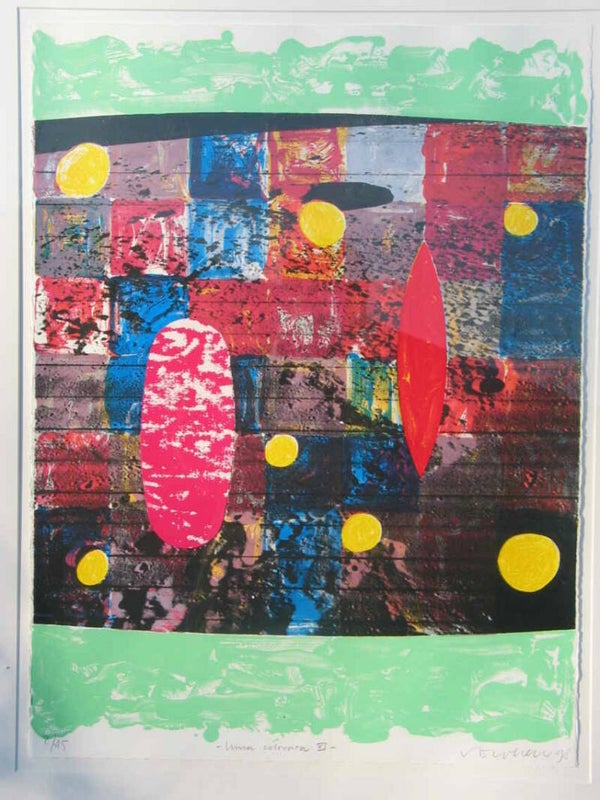 0273 - Jelis van Dolderen - Luna Colorata VI (80 * 100 incl. lijst)