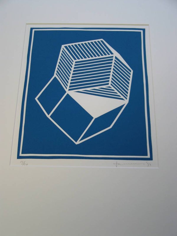 0370 - Ton van Summeren - Twin Cristals