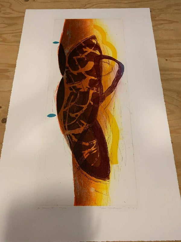 0541 - Hans Vredegoor - La source I