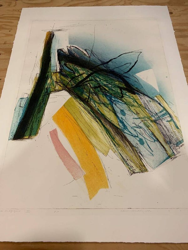 1878 - Hans Vredegoor - Boite Magique II