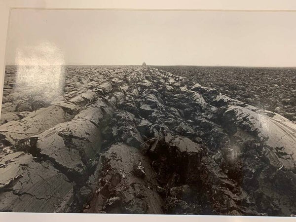 1722 - Hans Sas - "Wel en wee" Geploegd land met tractor