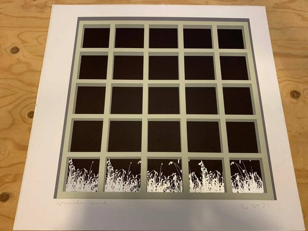 1972 - Gijs Winkelman - gezaaide....