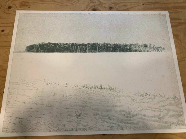 1998 - Cole Morgan - sneeuwvlakte met bos