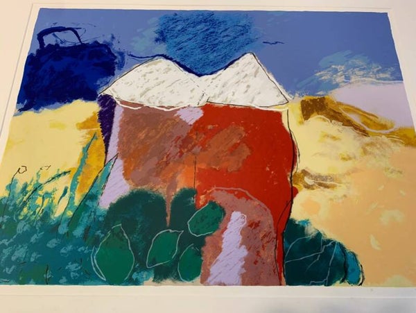 1663 - Henk van Vessem - Twee rode huizen, witte daken