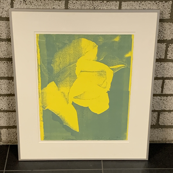 1282 - Cees Dolk - Roos ( 60 * 70 incl. lijst)