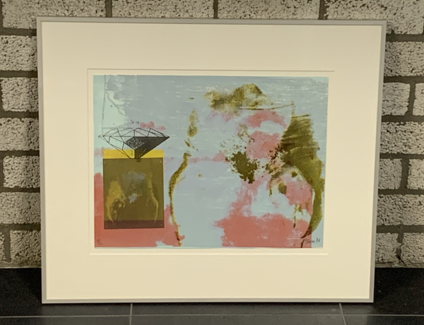 1288 - Mirjam Bürer - Urban Jungle Life II ( 60 * 70 incl. lijst)