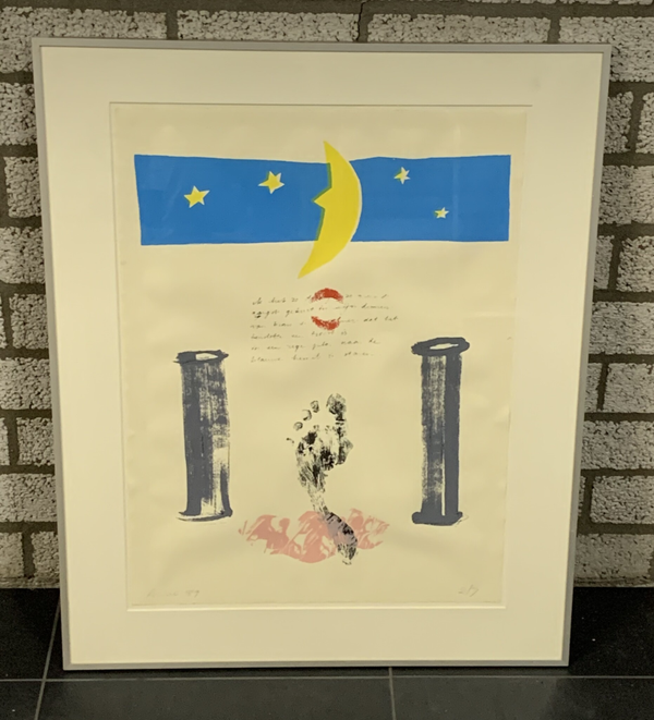 1341 - Anne - Maanlandschap ( 65 x 80 incl. lijst)